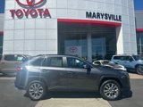 Certified 2025 Toyota RAV4 XLE Premium image 2