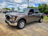 Used 2023 Ford F150 XLT image 4