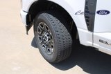 New 2025 Ford F250 Platinum image 5
