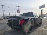New 2025 Ford F150 Platinum w/ Equipment Group 702A High image 5