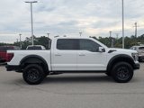 Used 2024 Ford F150 Raptor w/ Equipment Group 803A Raptor R image 4
