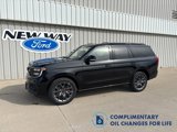 New 2025 Ford Expedition Platinum image 1