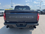New 2025 Ford F150 Raptor image 6