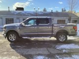 New 2025 Ford F150 XLT w/ Equipment Group 302A MID image 4