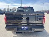 New 2025 Ford F150 Platinum w/ Equipment Group 702A High image 4