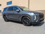 New 2025 Hyundai Palisade XRT image 2