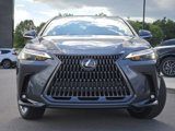 New 2026 Lexus NX 350 AWD w/ Premium Package image 3