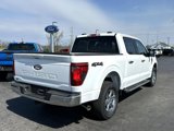 New 2025 Ford F150 XLT image 3