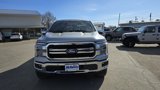New 2025 Ford F150 Lariat w/ Equipment Group 501A Mid image 3