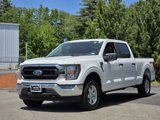 Used 2023 Ford F150 XLT image 4
