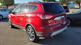 Used 2014 Ford Escape SE w/ SE Chrome Package image 3