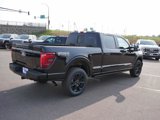 New 2025 Ford F150 Platinum w/ Equipment Group 702A High image 2