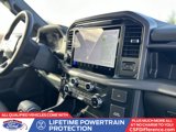 New 2025 Ford F150 XLT w/ Equipment Group 302A MID image 3