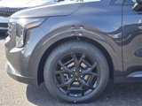 New 2026 Kia Carnival SX image 5
