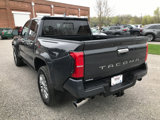 New 2025 Toyota Tacoma Limited image 6