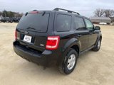 Used 2012 Ford Escape XLT image 4