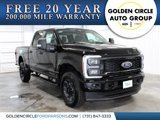 New 2025 Ford F250 XL image 1