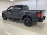 New 2025 Ford F150 STX w/ STX Black Appearance Package image 3