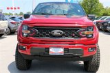 New 2025 Ford F150 XLT w/ Equipment Group 303A High image 3