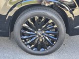 New 2025 Hyundai Palisade Calligraphy image 5