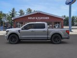New 2025 Ford F150 XLT w/ Equipment Group 303A High image 3