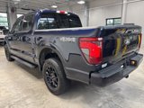 Used 2025 Ford F150 XLT image 5