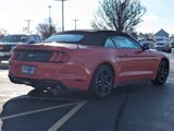 Certified 2023 Ford Mustang Premium image 3