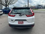 Used 2019 Honda CR-V LX image 6