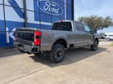 New 2025 Ford F250 Platinum image 6