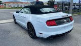 Used 2019 Ford Mustang Premium image 6