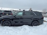 New 2025 Hyundai Palisade XRT image 2