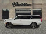 Used 2023 Cadillac Escalade ESV Premium Luxury image 2