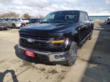 New 2025 Ford F150 XLT w/ Equipment Group 302A MID image 2