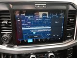 New 2025 Ford F250 Platinum image 4