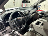 Used 2019 Ford F150 XLT w/ Equipment Group 301A Mid image 3