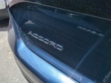 Used 2024 Honda Accord Touring image 5