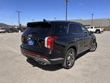 New 2025 Hyundai Palisade SEL image 5