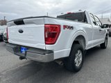 Used 2021 Ford F150 XLT w/ Equipment Group 301A Mid image 5