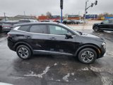 Used 2024 Kia Sportage LX image 5