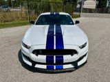 Used 2016 Ford Mustang Shelby GT350 w/ Track Package image 5
