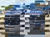 New 2025 Ford Expedition Max Platinum image 2