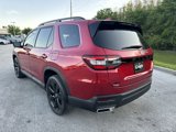 New 2025 Honda Pilot Black Edition image 5