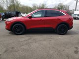 Used 2020 Ford Escape SE image 4