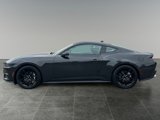 Used 2024 Ford Mustang Coupe w/ Mustang Nite Pony Package image 4