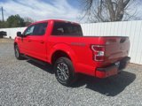 Used 2019 Ford F150 XLT w/ Equipment Group 302A Luxury image 3