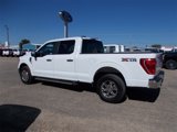 Used 2023 Ford F150 XLT image 6