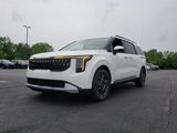 New 2026 Kia Carnival EX image 5