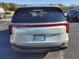 New 2025 Kia Carnival SX Prestige image 4