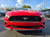 Used 2020 Ford Mustang Premium image 3