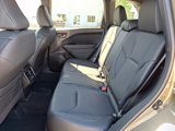 New 2025 Subaru Forester Limited image 6